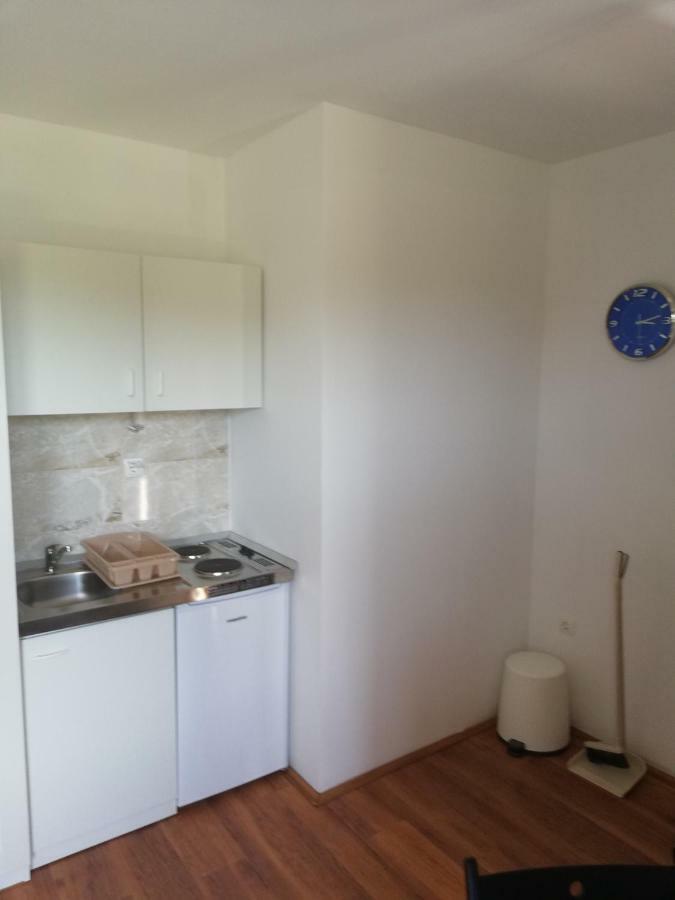 Apartmani Sladic スクラーディン エクステリア 写真