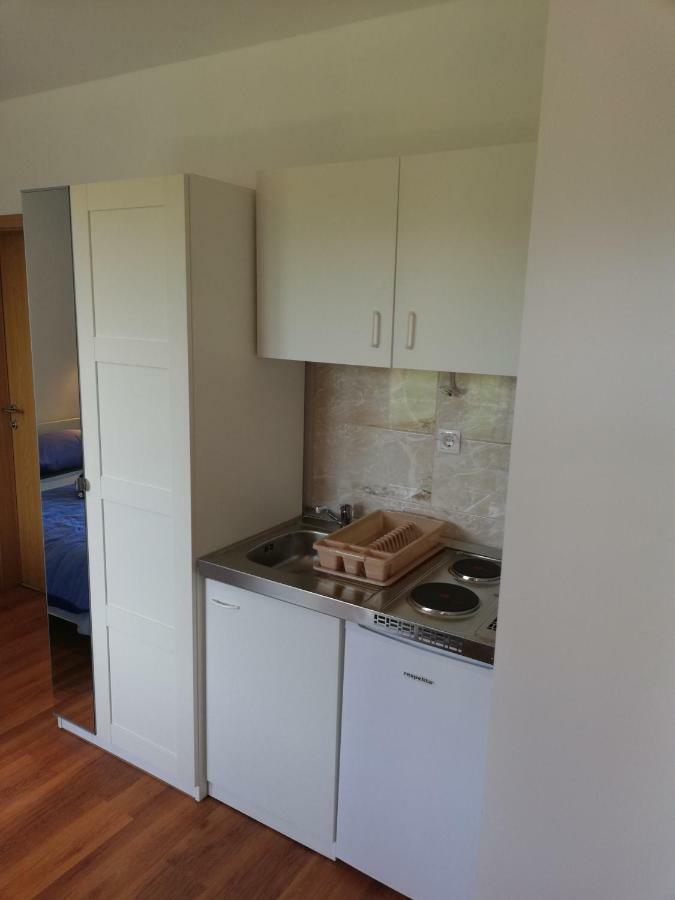 Apartmani Sladic スクラーディン エクステリア 写真