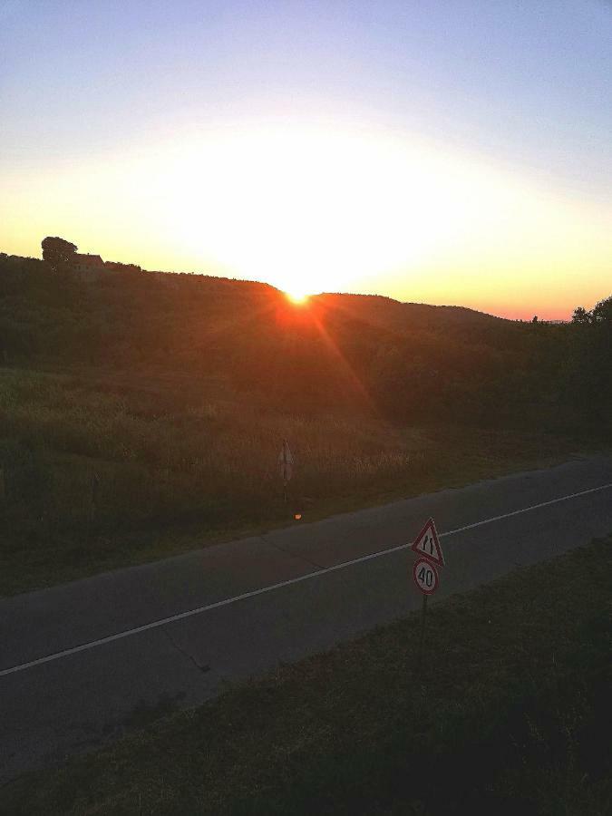 Apartmani Sladic スクラーディン エクステリア 写真
